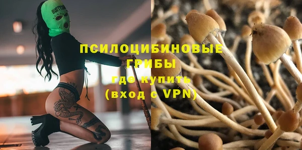 экстази Баксан