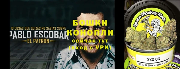 экстази Баксан