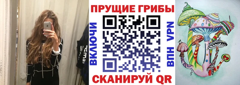 нарко площадка как зайти  MEGA онион  Александровское  наркошоп  Галлюциногенные грибы ЛСД 